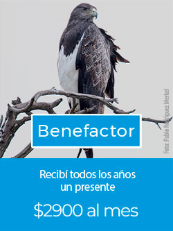 Benefactor.jpg