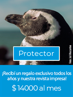 Protector_0.png