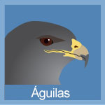 Aguilas_web.jpg